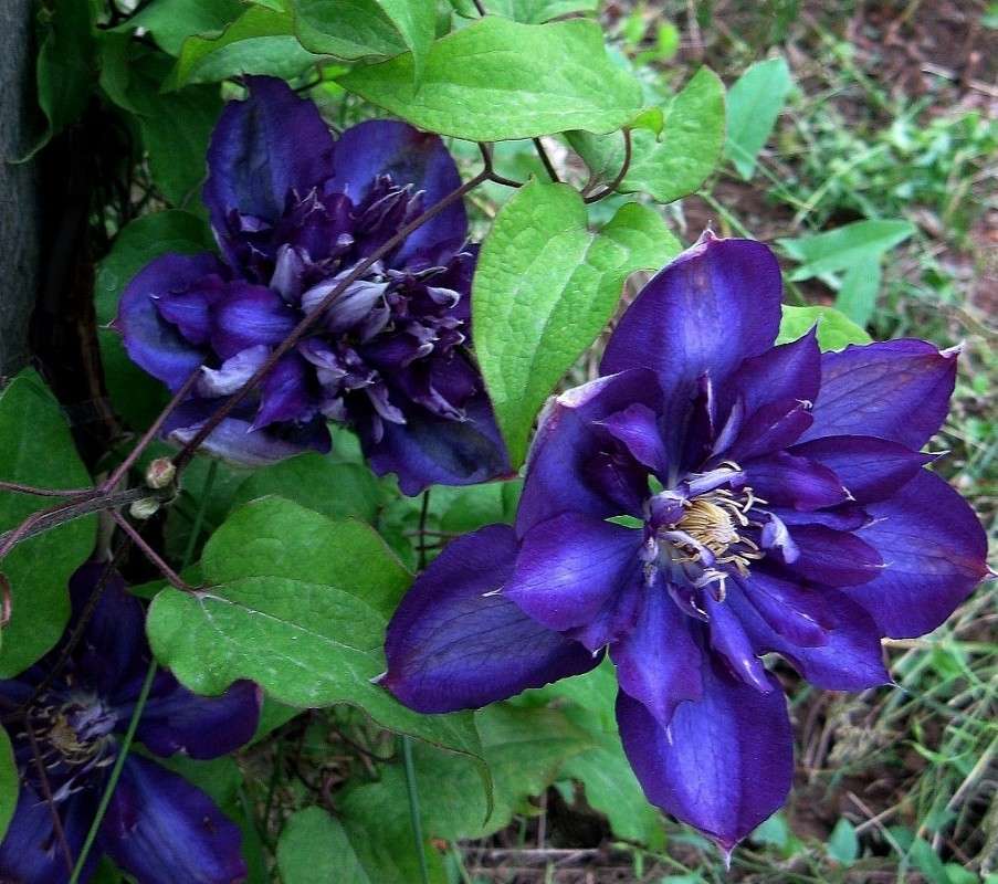 �������� ����� Natali  ��������� �� PhotoGeek.ru #����� ��������������