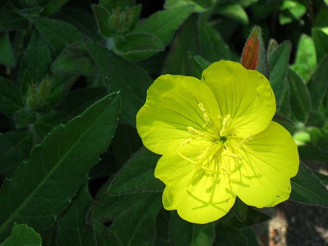 ... ����� Natali  ��������� �� PhotoGeek.ru #������ ��� ������� #����� ��������������