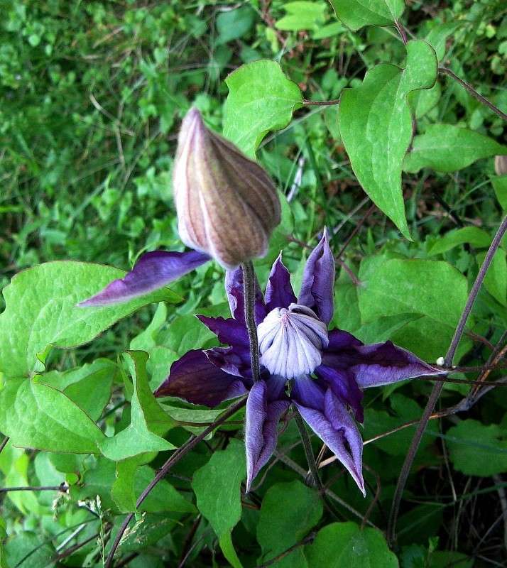 ������� �������... ) ����� Natali  ��������� �� PhotoGeek.ru #����� ��������������