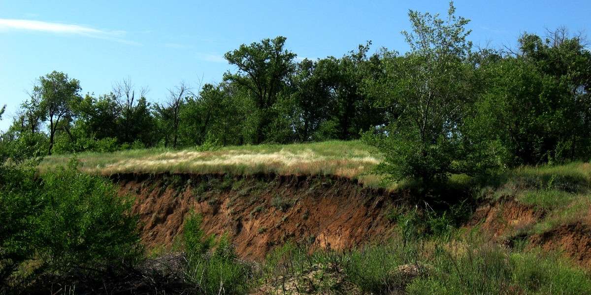 ������ � �������. ����� Natali  ��������� �� PhotoGeek.ru #������ ��� �������