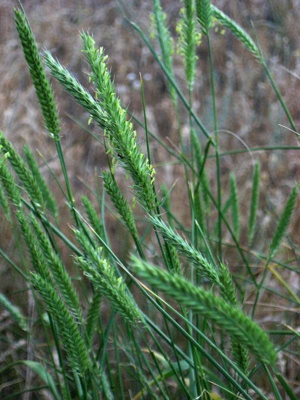 ������� ����� ����� Natali  ��������� �� PhotoGeek.ru #������ ��� ������� #����� ��������������