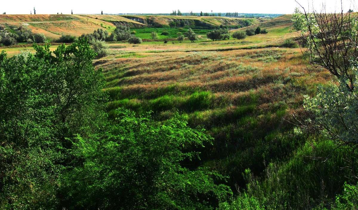 ������. ����. ����� Natali  ��������� �� PhotoGeek.ru #������ ��� ������� #����� ��������������