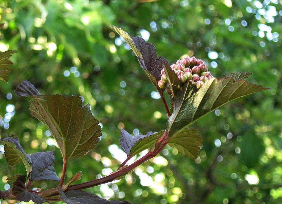 ... ����� Natali  ��������� �� PhotoGeek.ru #������ ��� ������� #����� ��������������