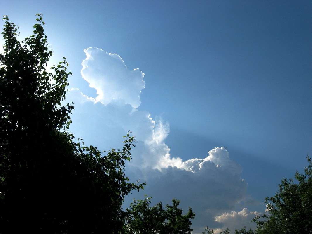 ... ����� Natali  ��������� �� PhotoGeek.ru #������ ��� ������� #����� ��������������