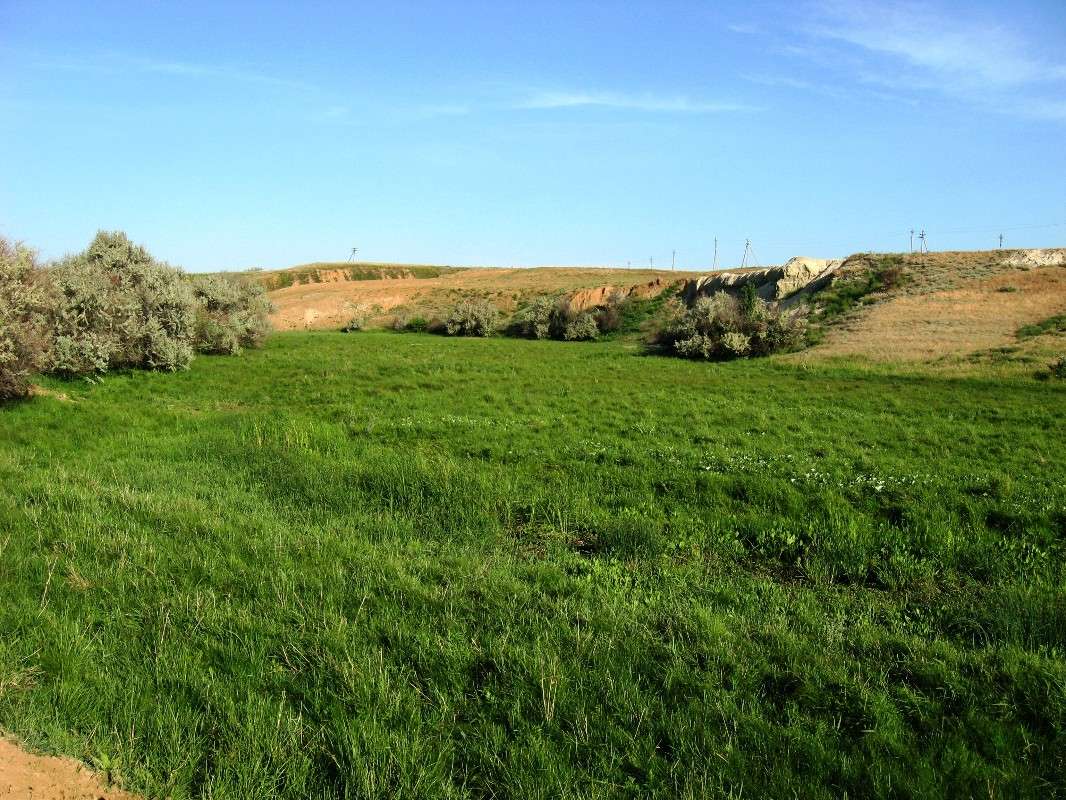 � ������ ����� Natali  ��������� �� PhotoGeek.ru #������ ��� ������� #����� ��������������