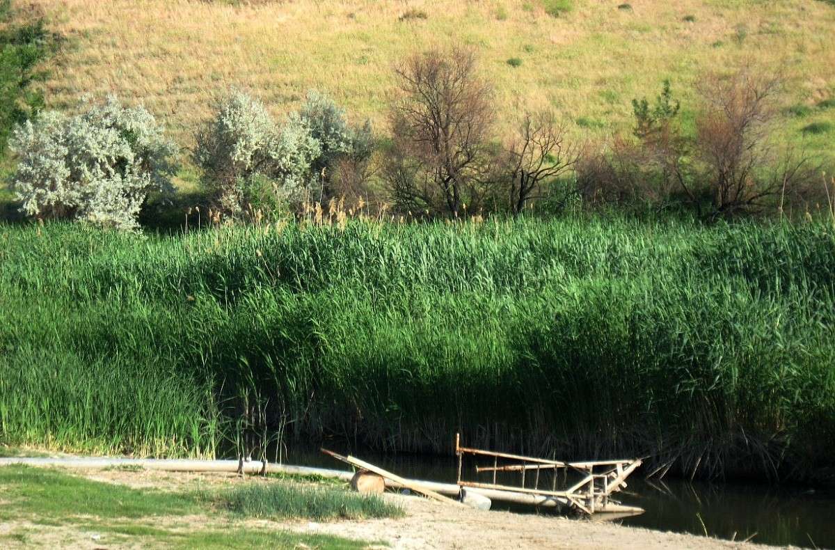 ������ ��������� ������ ���������� ����� Natali  ��������� �� PhotoGeek.ru #������ ��� ������� #����� �������������� #����� ��������