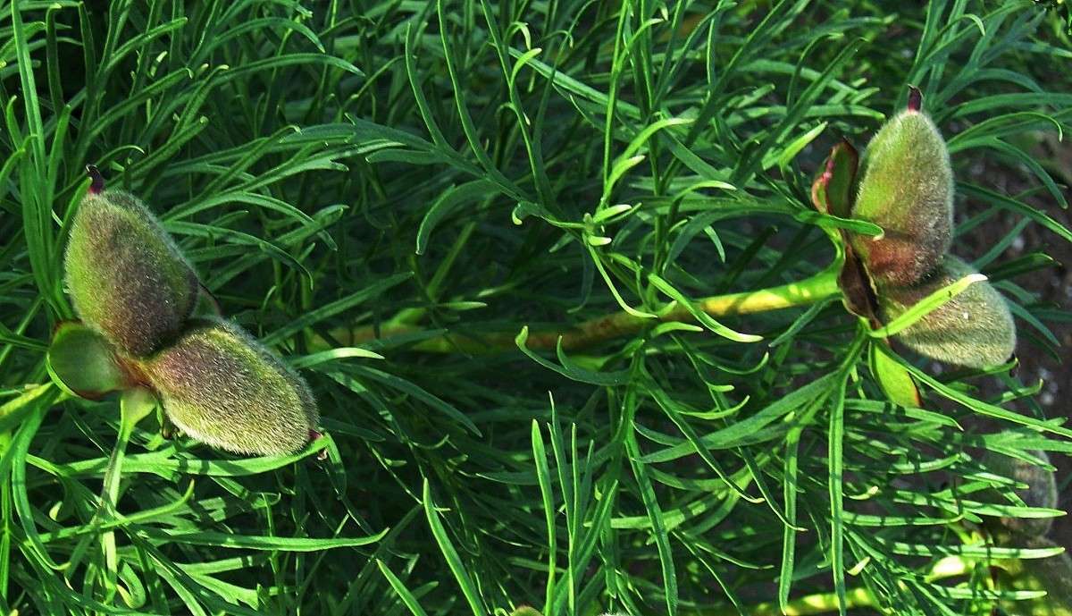 ... ����� Natali  ��������� �� PhotoGeek.ru #����� ��������������