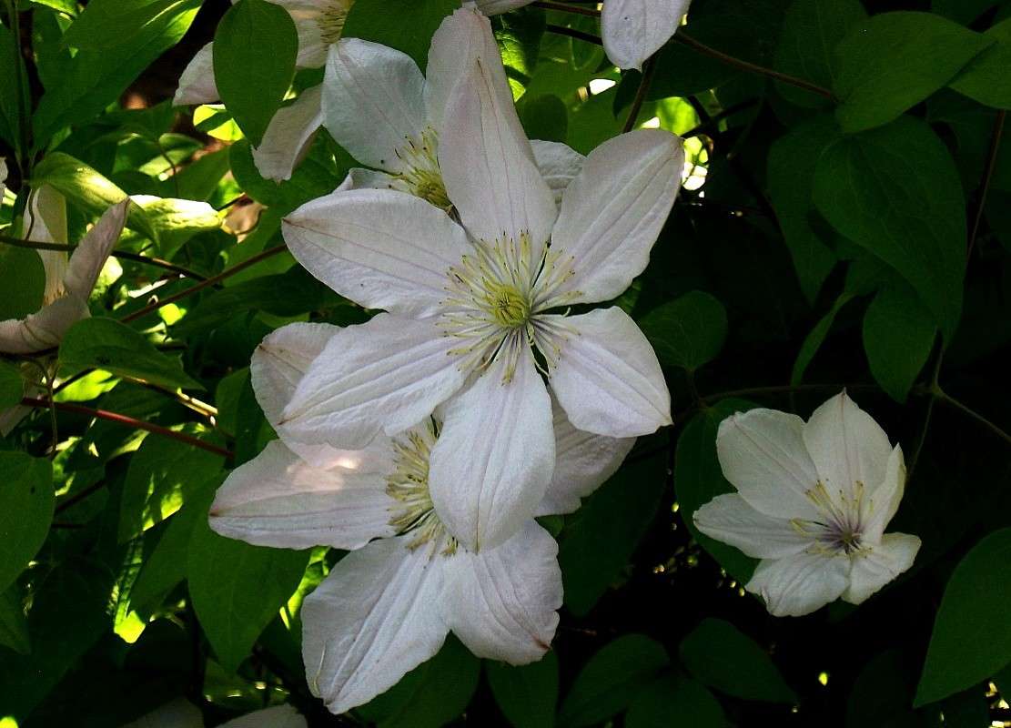 �������� ����� Natali  ��������� �� PhotoGeek.ru #����� ��������������