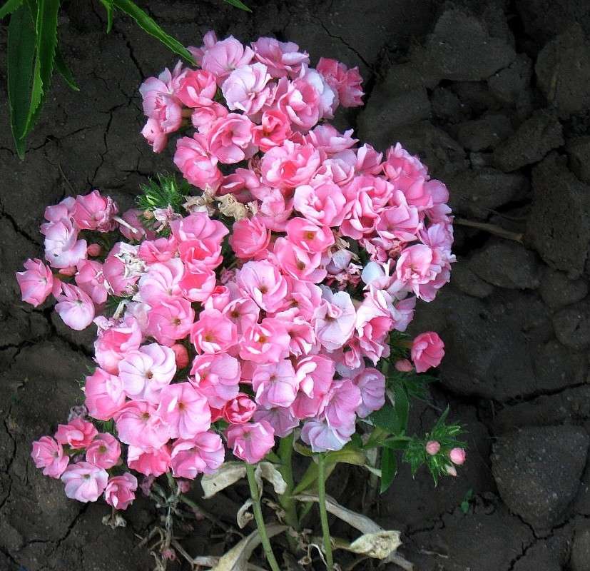 ������� ����� Natali  ��������� �� PhotoGeek.ru #����� ��������������