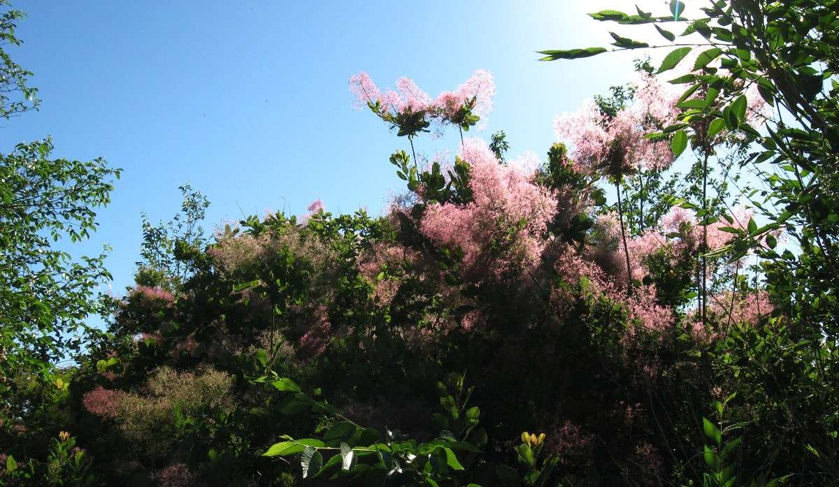 �� ������... ! ����� Natali  ��������� �� PhotoGeek.ru #����� ��������������