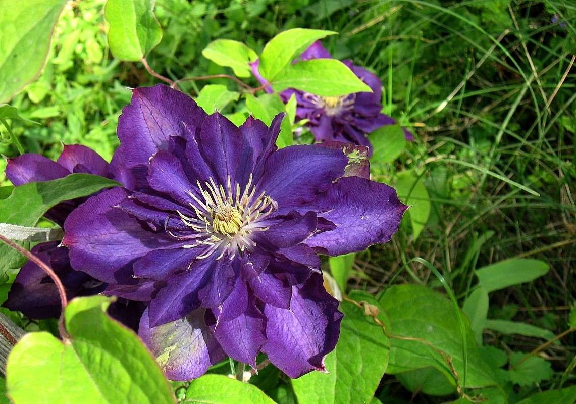 �������� ����� Natali  ��������� �� PhotoGeek.ru #����� ��������������