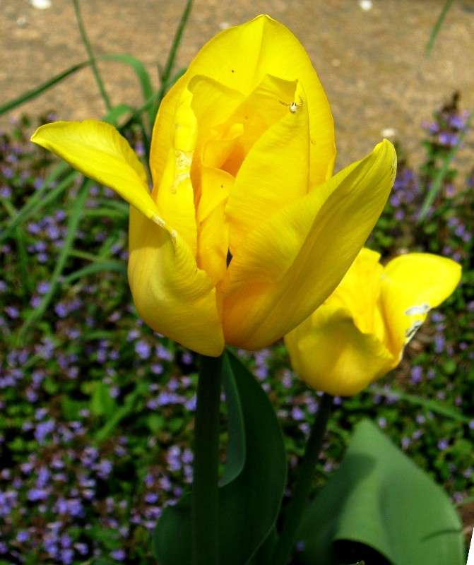 ������� ����� Natali  ��������� �� PhotoGeek.ru #������ ��� ������� #����� ��������������