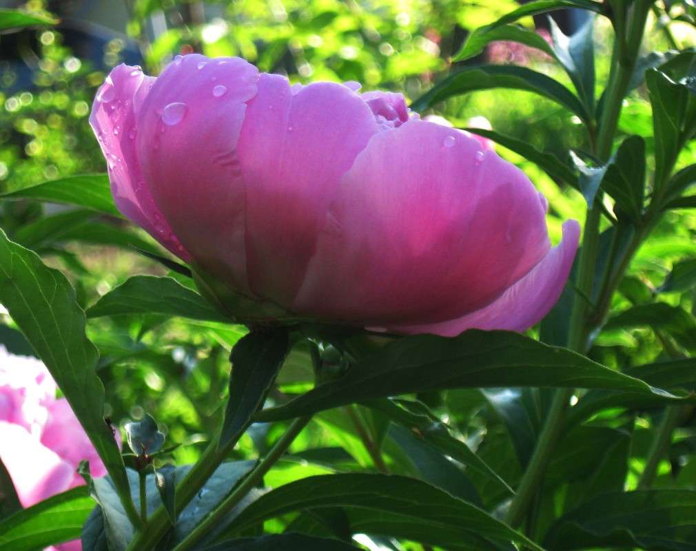 ���� ����� Natali  ��������� �� PhotoGeek.ru #������ ��� ������� #����� ��������������