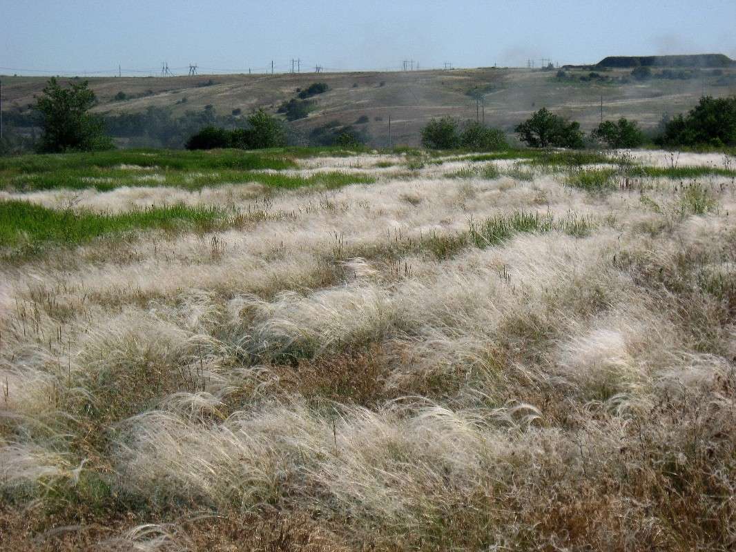 ������ - ���������� ����� ����� Natali  ��������� �� PhotoGeek.ru #������ ��� ������� #����� ��������������