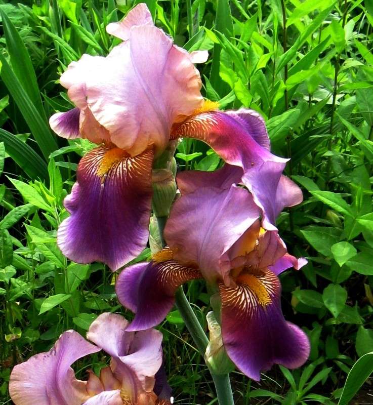 ���� ����� Natali  ��������� �� PhotoGeek.ru #������ ��� ������� #����� ��������������