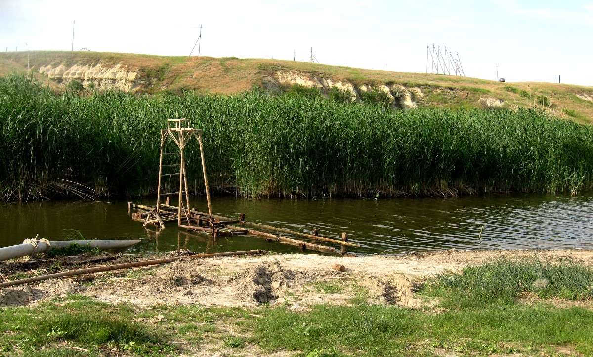 ������ ��������� ������ ����������...2 ����� Natali  ��������� �� PhotoGeek.ru #������ ��� ������� #����� �������������� #����� ��������