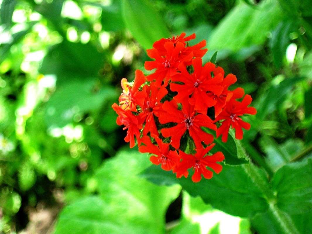 ����������� �����. ����� Natali  ��������� �� PhotoGeek.ru #������ ��� ������� #����� ��������������