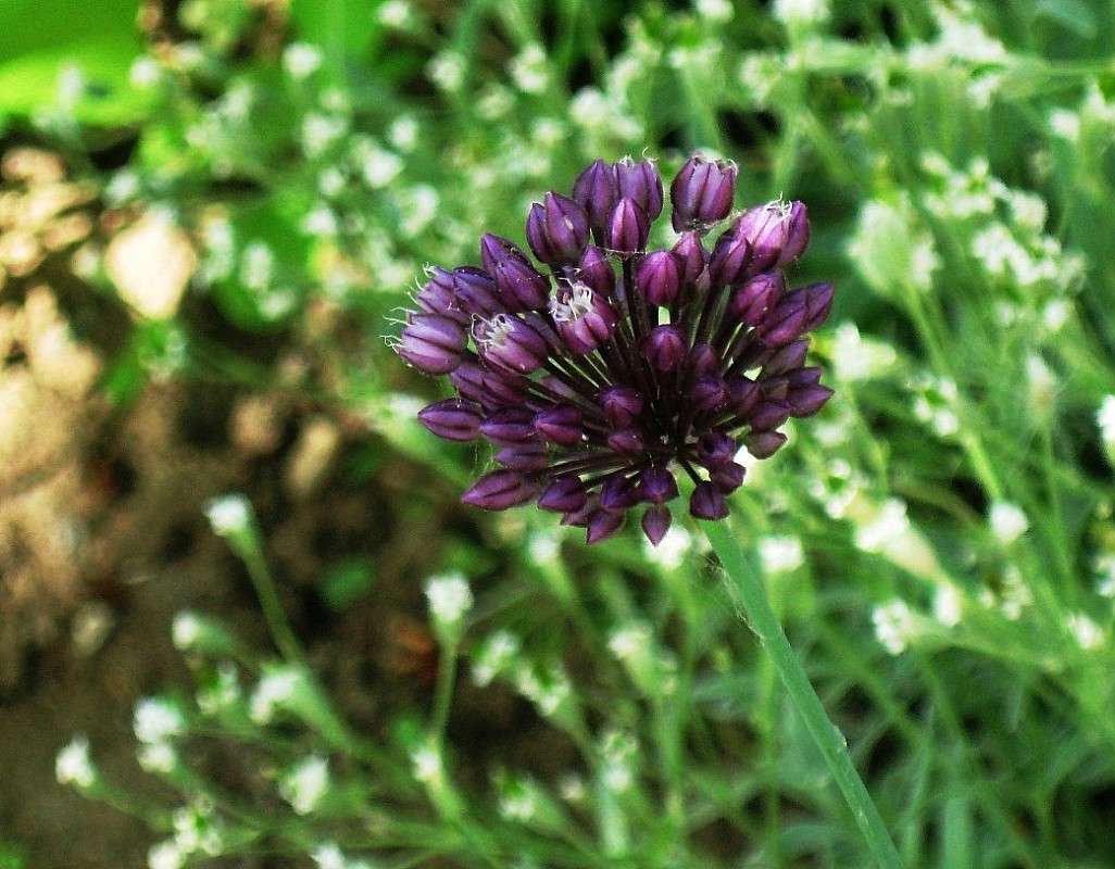 ... ����� Natali  ��������� �� PhotoGeek.ru #������ ��� ������� #����� ��������������