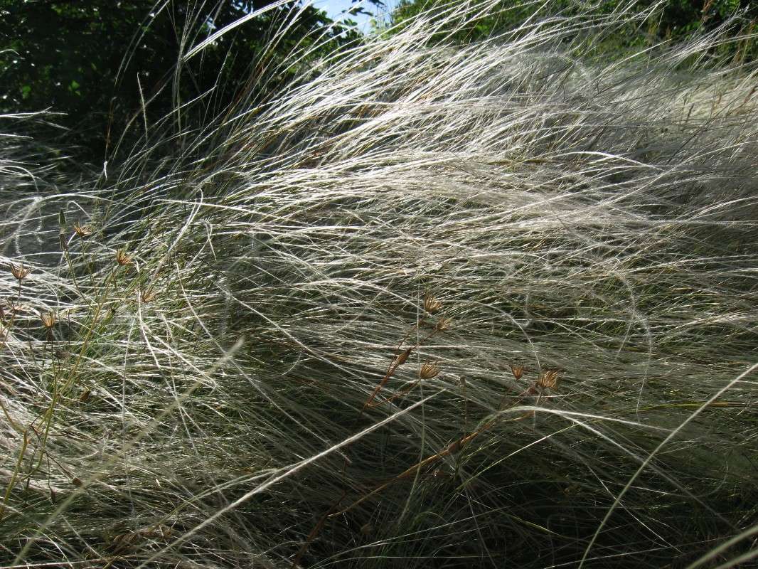 �����. ���������� ������. ����� Natali  ��������� �� PhotoGeek.ru #������ ��� ������� #����� ��������������