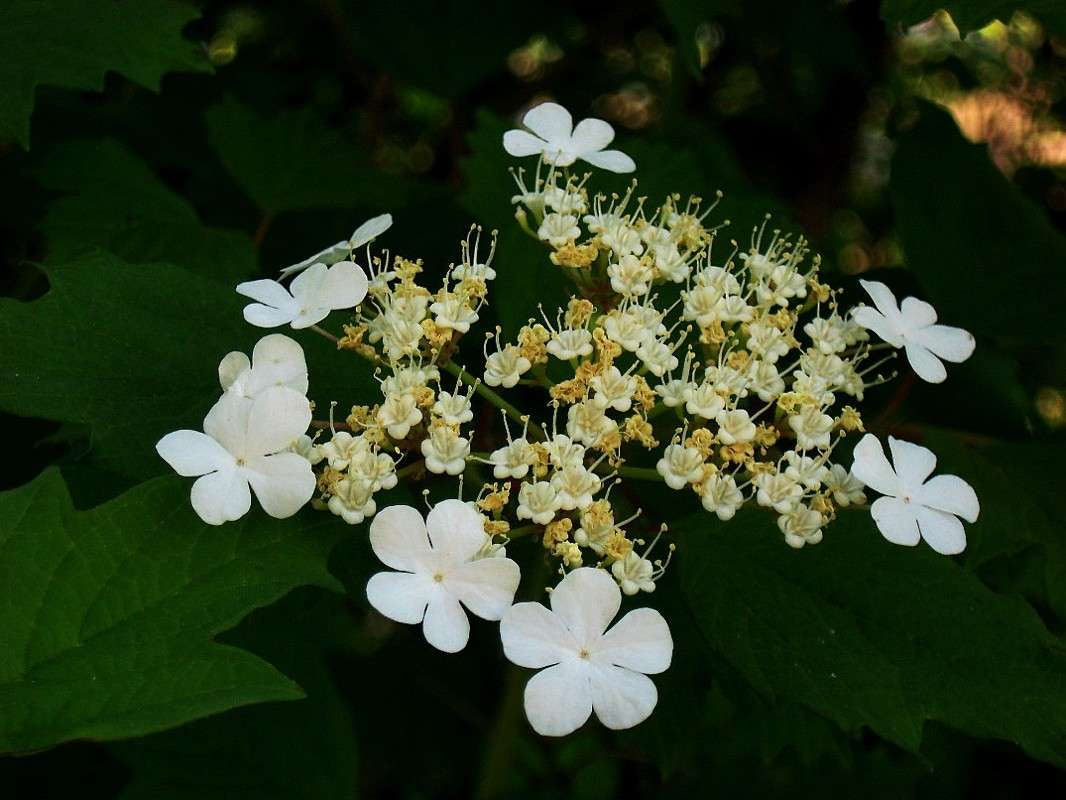 ��� � ������� ������...) ����� Natali  ��������� �� PhotoGeek.ru #������ ��� ������� #����� ��������������