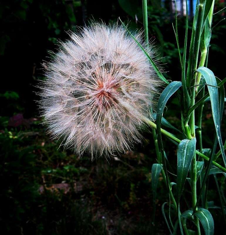 � ������ ��������� � ����� ���������...) ����� Natali  ��������� �� PhotoGeek.ru #������ ��� ������� #����� ��������������