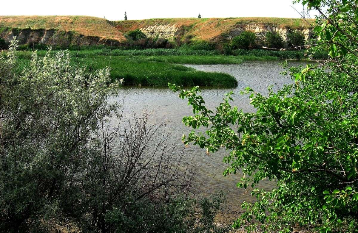 ������ ������� ����� ...) ����� Natali  ��������� �� PhotoGeek.ru #������ ��� ������� #����� ��������������