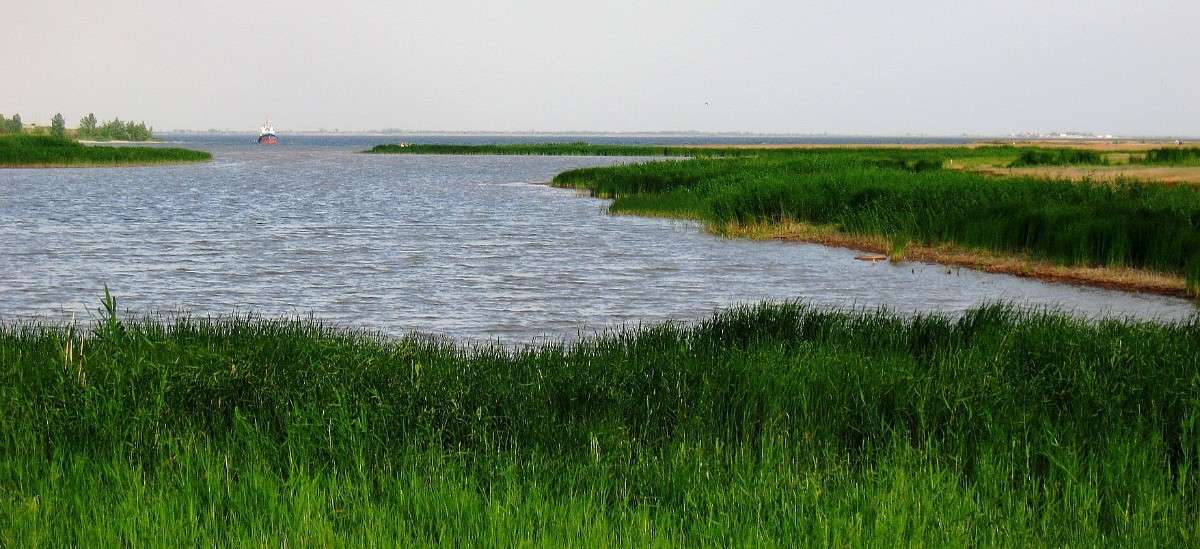 ����� �� ������ ����� Natali  ��������� �� PhotoGeek.ru #������ ��� ������� #����� �������������� #��������� #����� ��������