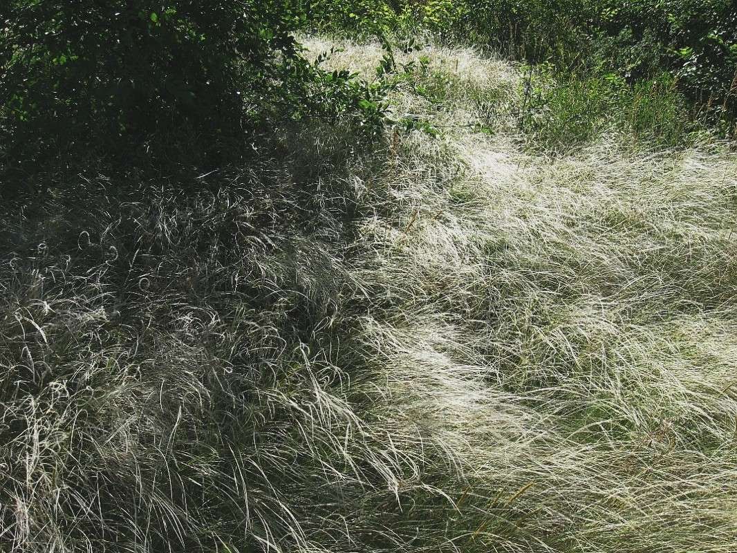 ... ����� Natali  ��������� �� PhotoGeek.ru #������ ��� ������� #����� ��������������