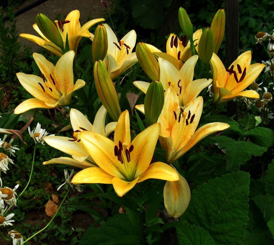 ... ����� Natali  ��������� �� PhotoGeek.ru #������ ��� ������� #����� ��������������