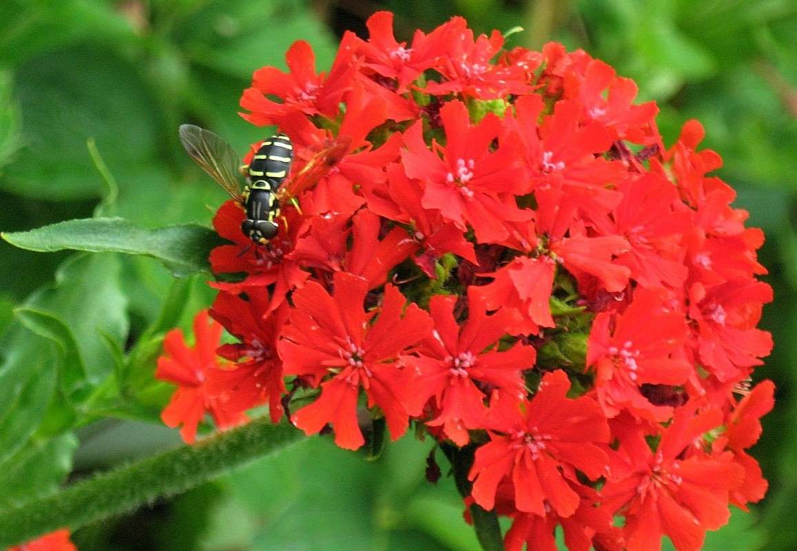 ... ����� Natali  ��������� �� PhotoGeek.ru #�������� ��� #������ ��� ������� #����� �������������� #����� ��������