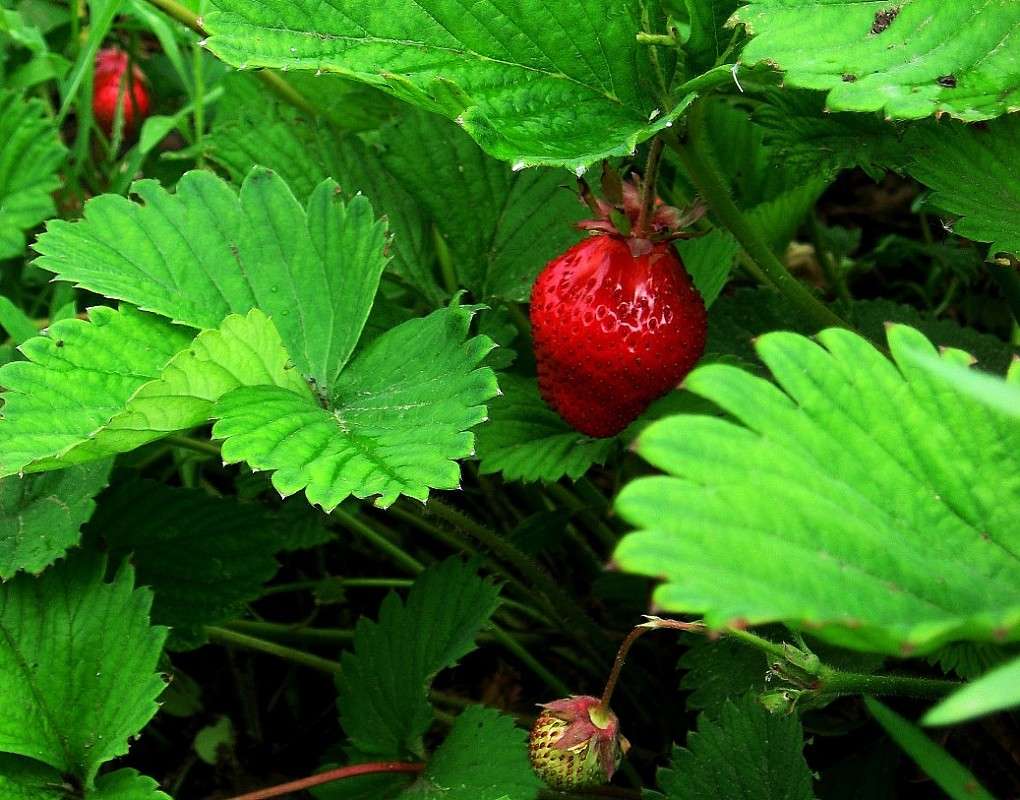 ... ����� Natali  ��������� �� PhotoGeek.ru #������ ��� ������� #����� ��������������