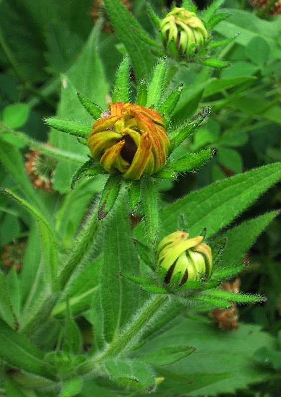 ... ����� Natali  ��������� �� PhotoGeek.ru #������ ��� ������� #����� ��������������