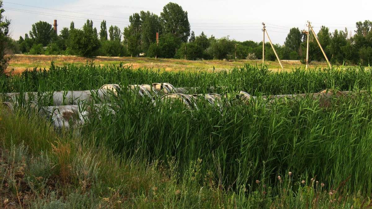 � ���� 2 ����� Natali  ��������� �� PhotoGeek.ru #������ ��� ������� #�������� #����� �������������� #����� ��������