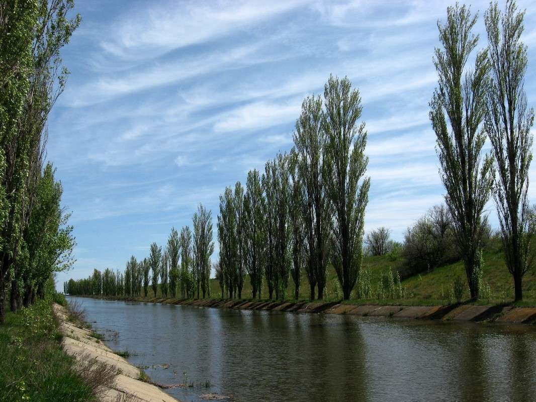 � ���� ����� Natali  ��������� �� PhotoGeek.ru #������ ��� ������� #�������� #����� �������������� #����� ��������