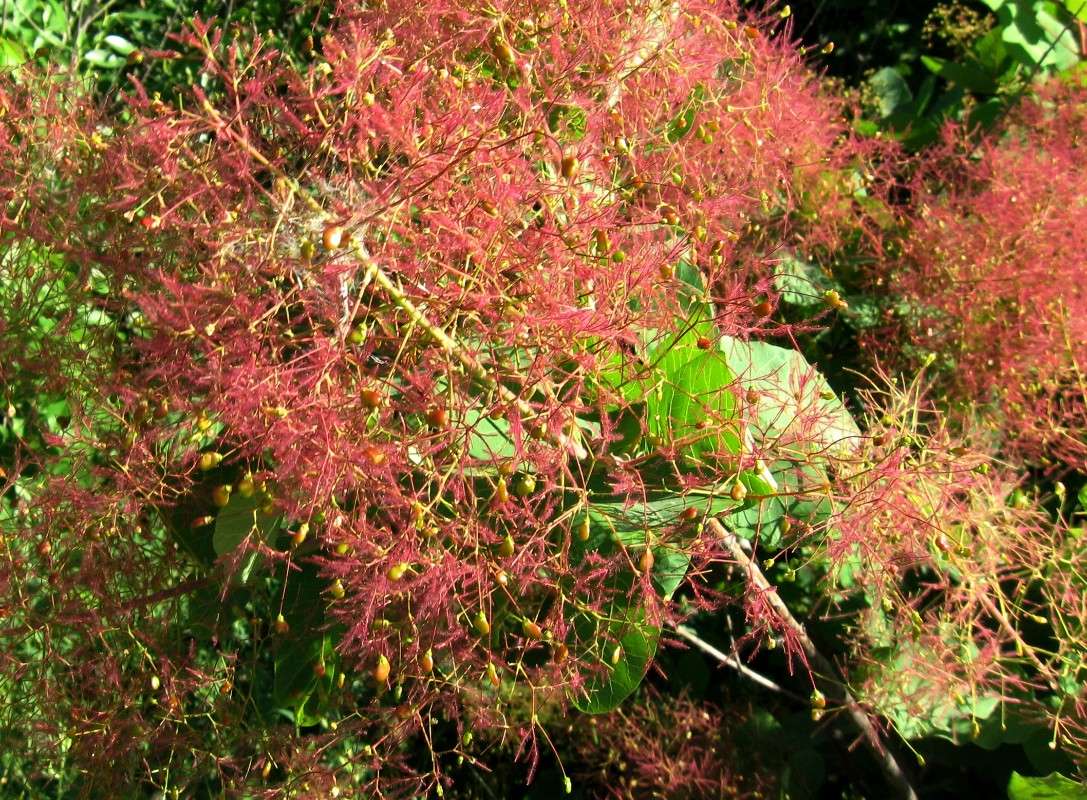 ������� ����� Natali  ��������� �� PhotoGeek.ru #����� ��������������