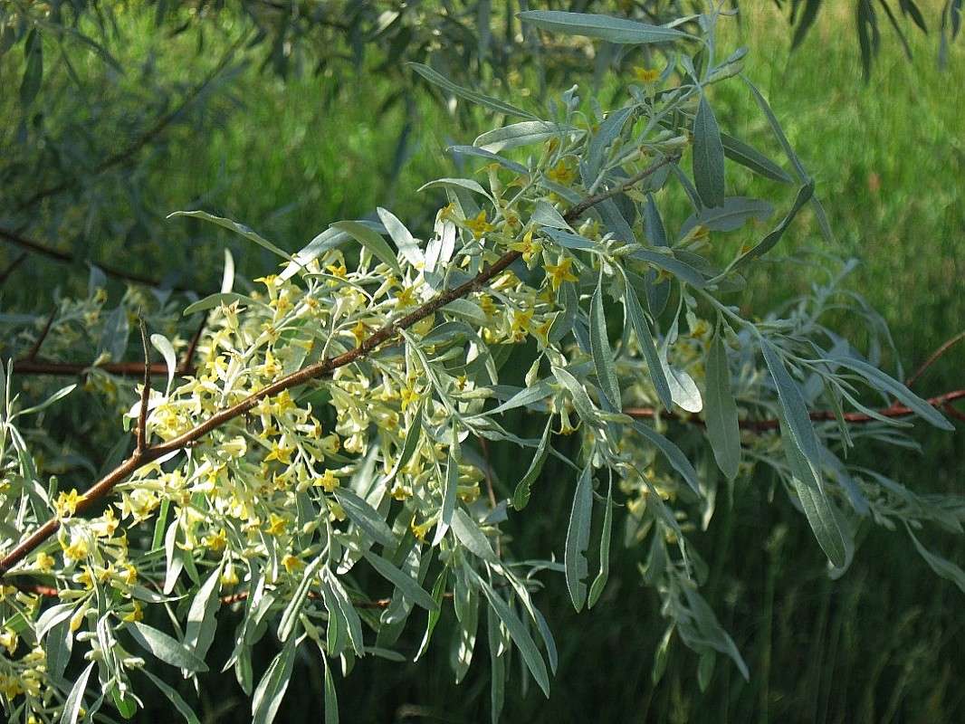 ������� ������� ����� Natali  ��������� �� PhotoGeek.ru #������ ��� ������� #����� ��������������