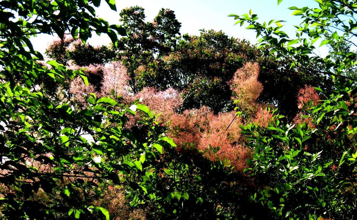 ������� ������ ����� Natali  ��������� �� PhotoGeek.ru #������ ��� ������� #����� ��������������