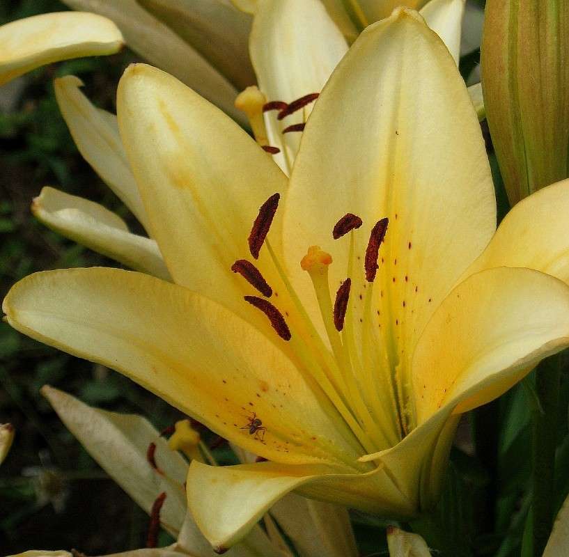 ... ����� Natali  ��������� �� PhotoGeek.ru #����� ��������������