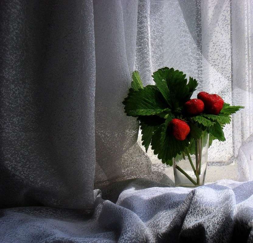 ������ ���� � ���� ��� ����� Natali  ��������� �� PhotoGeek.ru #��������� #�������� ���������� #����� ��������������