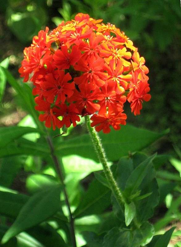 ����� �����������. �� �������� ��������. ����� Natali  ��������� �� PhotoGeek.ru #������ ��� ������� #����� ��������������