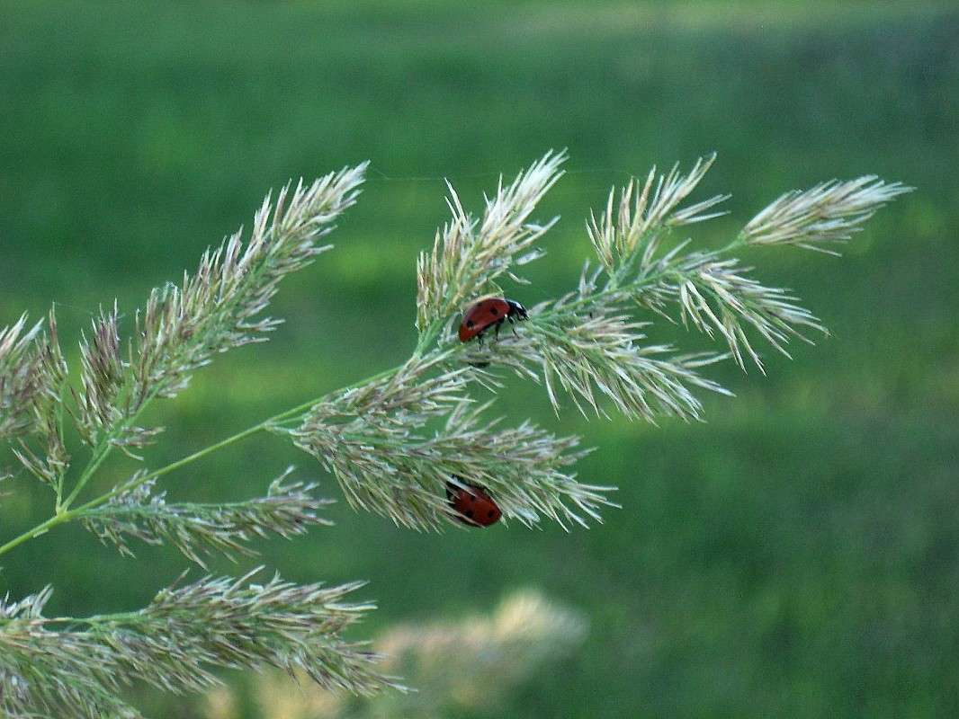 ... ����� Natali  ��������� �� PhotoGeek.ru #�������� ��� #����� ��������������