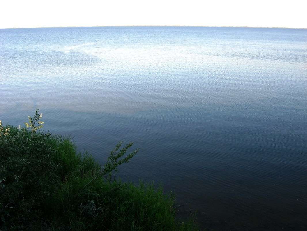 ����� �����...))) ����� Natali  ��������� �� PhotoGeek.ru #������ ��� �������