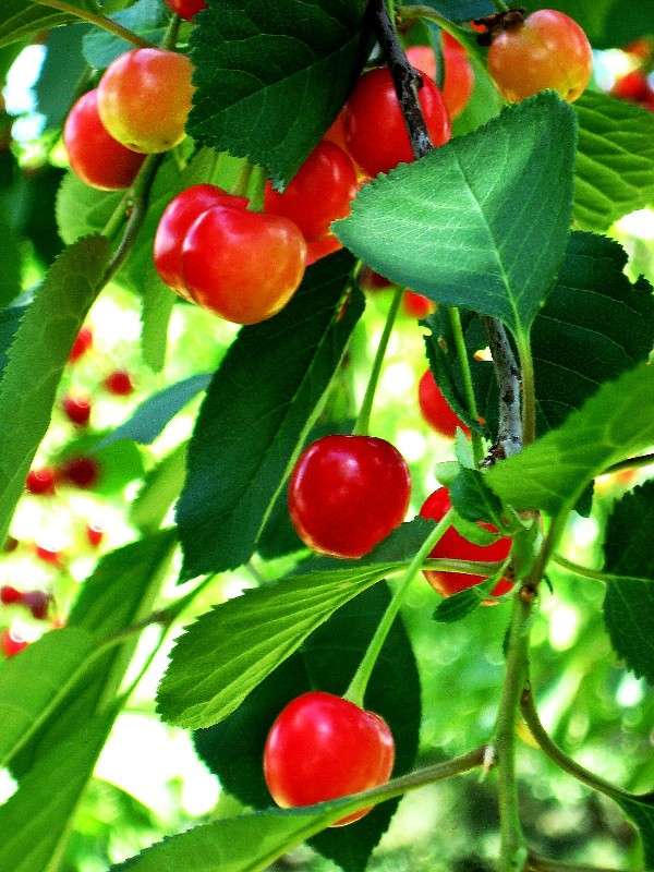 ... ����� Natali  ��������� �� PhotoGeek.ru #������ ��� ������� #����� ��������������