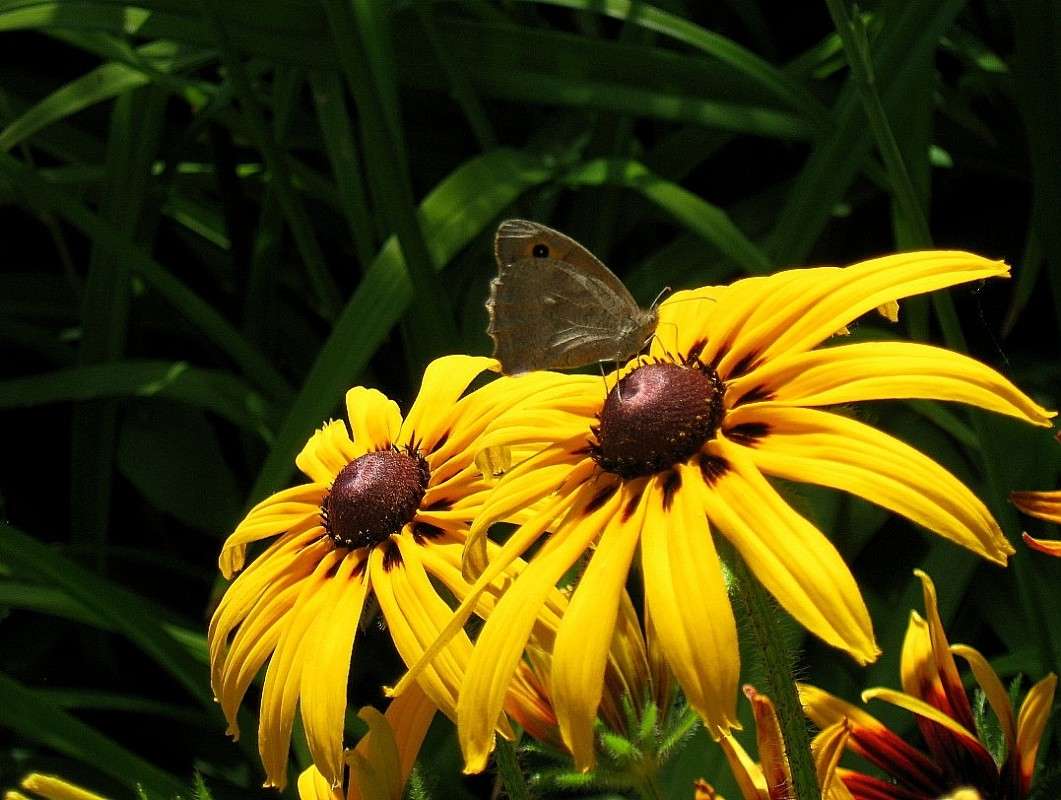 ... ����� Natali  ��������� �� PhotoGeek.ru #�������� ��� #������ ��� �������