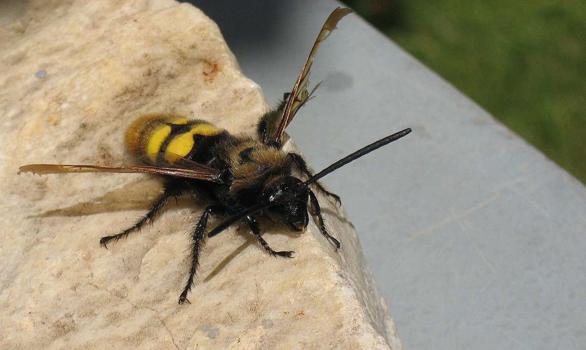 ... ����� Natali  ��������� �� PhotoGeek.ru #�������� ���