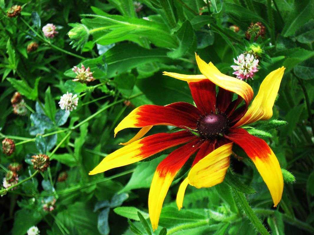 �����. ����� Natali  ��������� �� PhotoGeek.ru #������ ��� ������� #����� ��������������