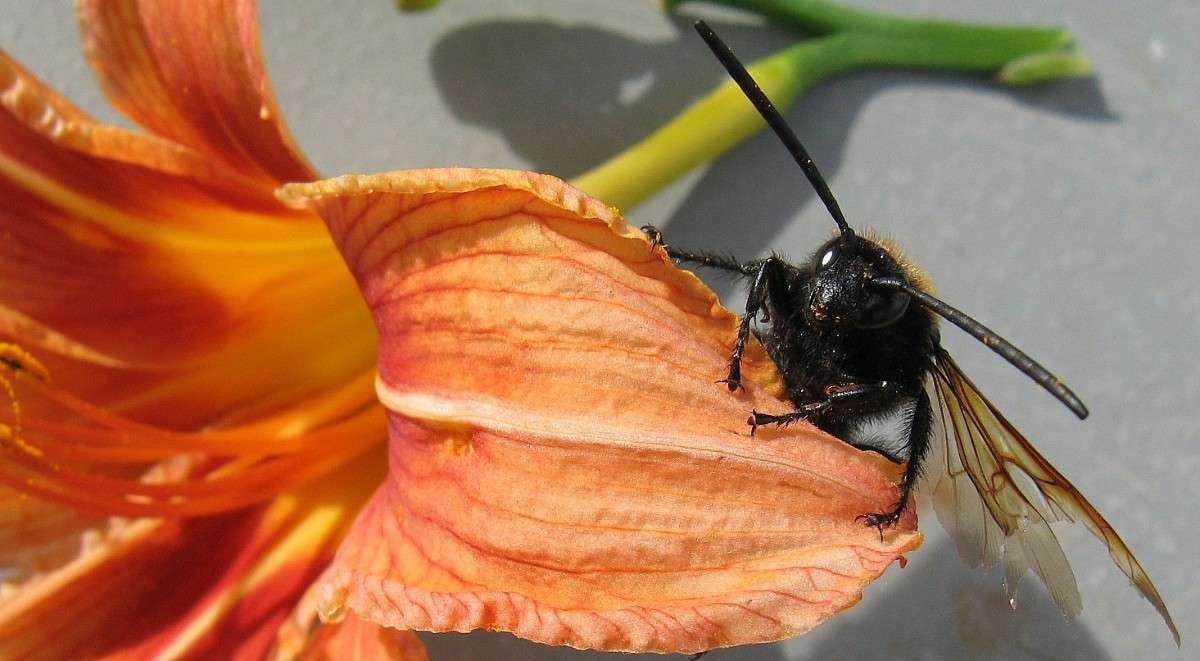 ... ����� Natali  ��������� �� PhotoGeek.ru #�������� ���