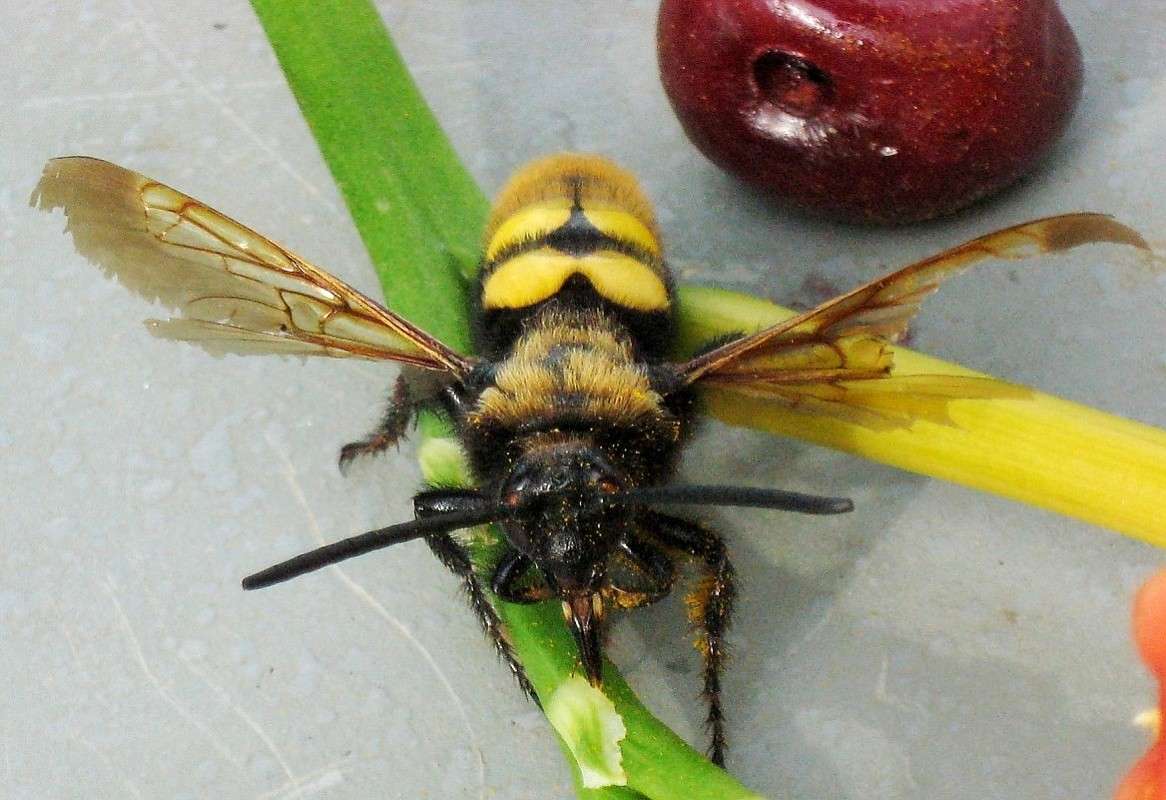 ... ����� Natali  ��������� �� PhotoGeek.ru #�������� ���