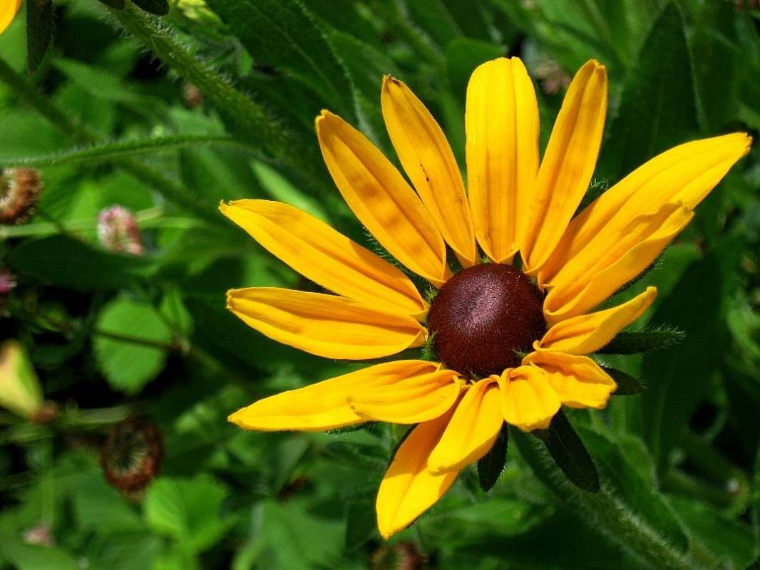 ... ����� Natali  ��������� �� PhotoGeek.ru #������ ��� ������� #����� ��������������