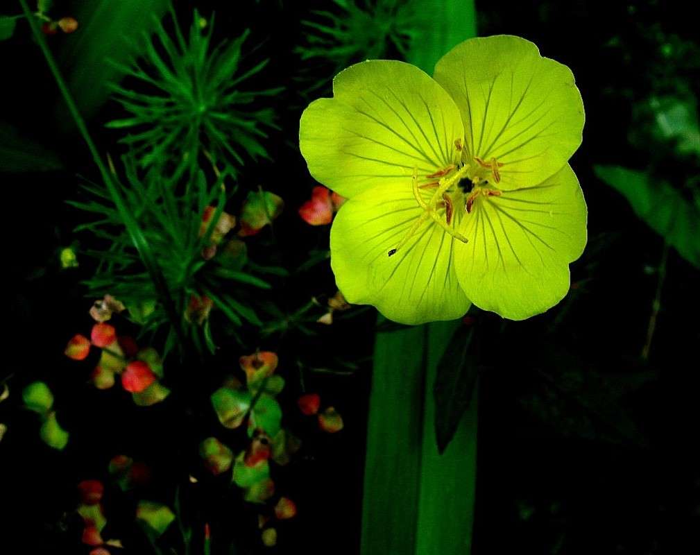 ... ����� Natali  ��������� �� PhotoGeek.ru #������ ��� ������� #����� ��������������